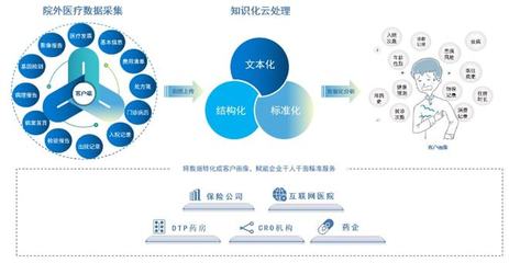 醫療數據驅動下的健康險創新 醫、藥、險聯動與藥品互聯網信息服務的深度融合